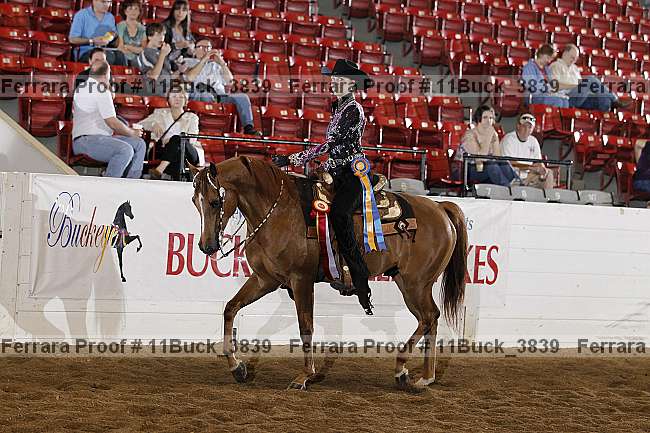 Proof 11buck_3839