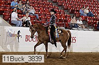 11buck_3839 proof