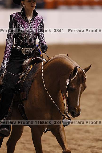 Proof 11buck_3841