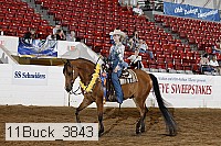 11buck_3843 proof