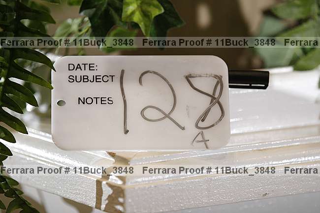 Proof 11buck_3848