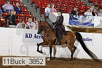 11buck_3852 proof