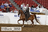 11buck_3858 proof