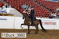11buck_3860 proof