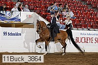 11buck_3864 proof