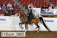 11buck_3865 proof