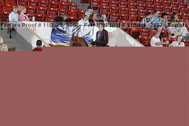 Proof 11buck_3867