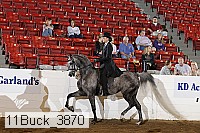 11buck_3870 proof