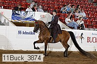 11buck_3874 proof