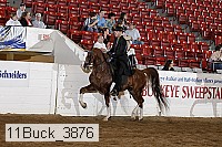 11buck_3876 proof