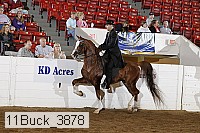 11buck_3878 proof