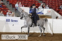 11buck_3886 proof