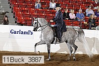 11buck_3887 proof