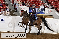 11buck_3898 proof