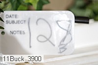 11buck_3900 proof