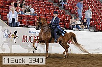 11buck_3940 proof