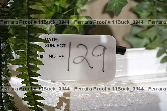 Proof 11buck_3944