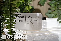 11buck_3944 proof