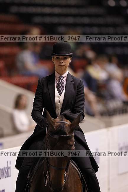 Proof 11buck_3947