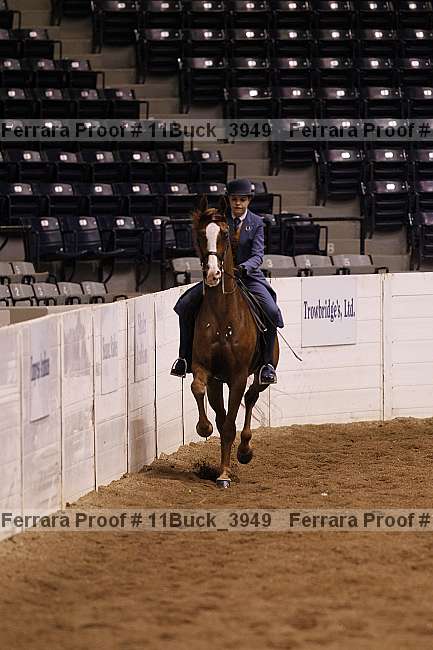 Proof 11buck_3949