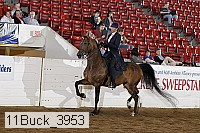 11buck_3953 proof
