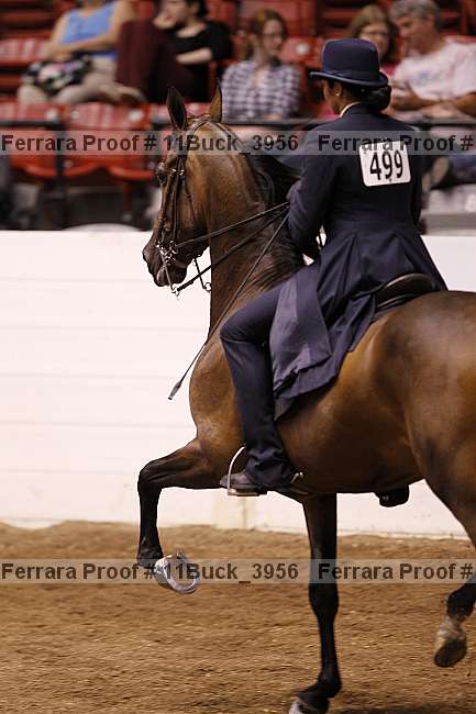 Proof 11buck_3956