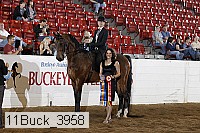 11buck_3958 proof