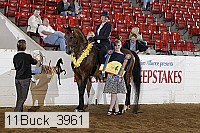 11buck_3961 proof