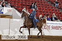 11buck_3966 proof