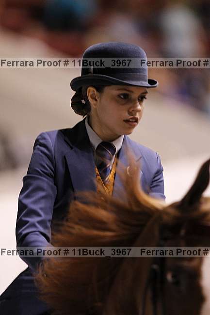 Proof 11buck_3967