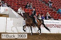 11buck_3969 proof