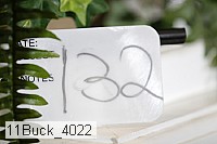 11buck_4022 proof