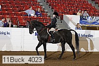 11buck_4023 proof
