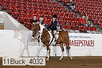 11buck_4032 proof