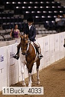 11buck_4033 proof