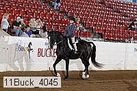 11buck_4045 proof