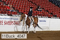 11buck_4047 proof
