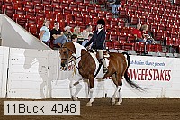 11buck_4048 proof