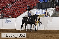 11buck_4052 proof