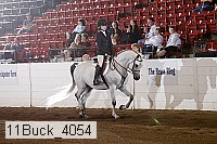 11buck_4054 proof