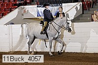 11buck_4057 proof