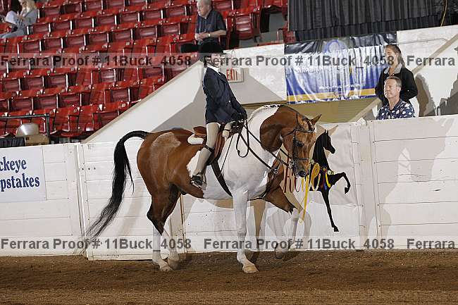 Proof 11buck_4058