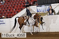 11buck_4058 proof