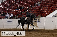 11buck_4061 proof