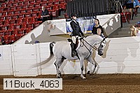 11buck_4063 proof