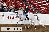 11buck_4066 proof