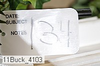 11buck_4103 proof