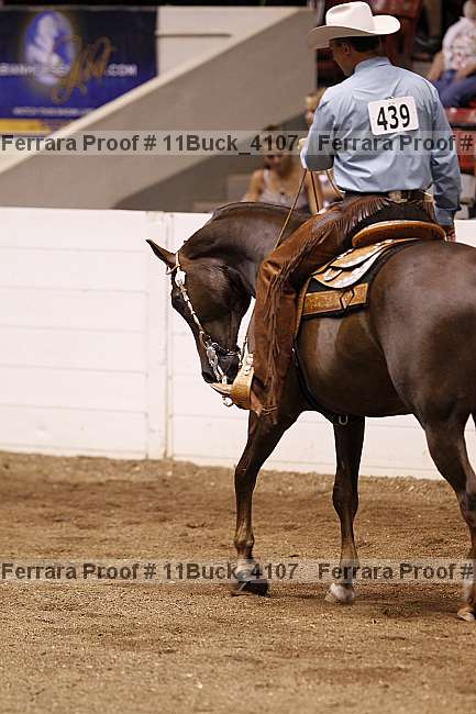 Proof 11buck_4107