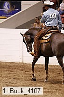 11buck_4107 proof