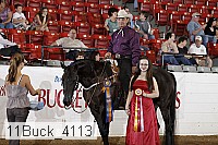 11buck_4113 proof